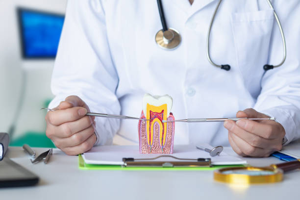 Best Tooth Infection Emergency Dentist  in Farmers Loop, AK